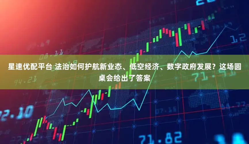 星速优配平台 法治如何护航新业态、低空经济、数字政府发展？这场圆桌会给出了答案