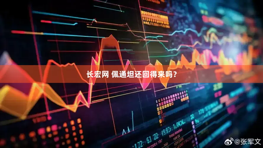 长宏网 佩通坦还回得来吗？